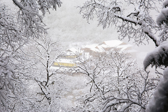 黄龙雪景