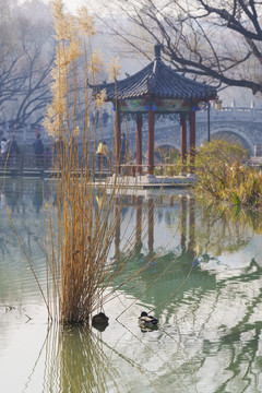 范公亭公园冬天风景
