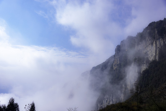 大山和云雾