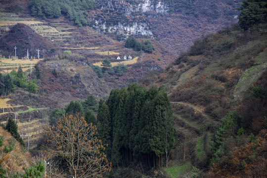 山地丘陵