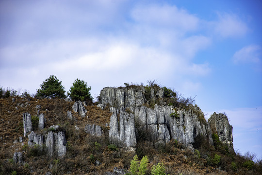 山地丘陵