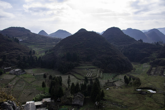 山地丘陵