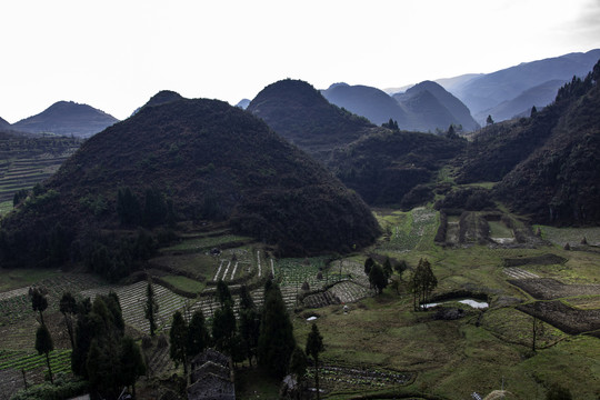 山地丘陵