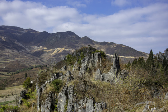 山地丘陵