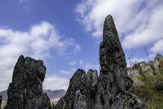 石林