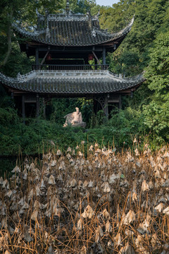 三苏祠披风榭残荷