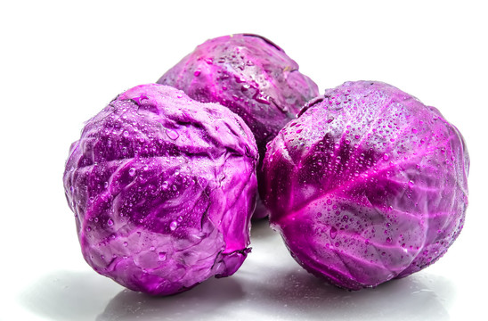 紫卷心菜
