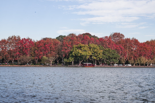 西湖的秋色