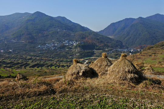 冬天的田野