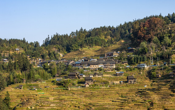 冬季梯田