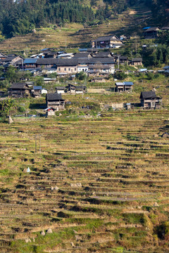 冬季梯田