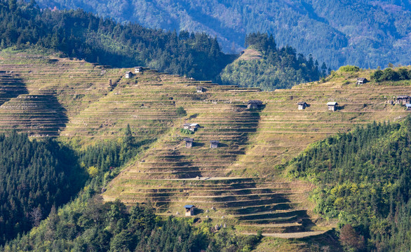 冬季梯田