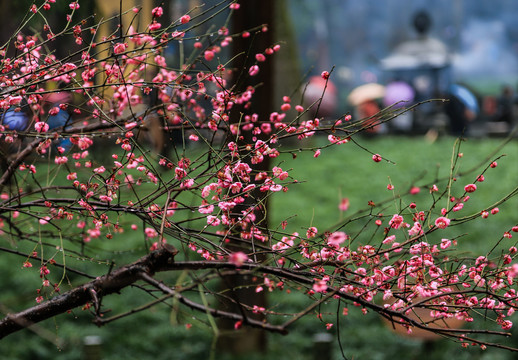 杭州灵隐寺