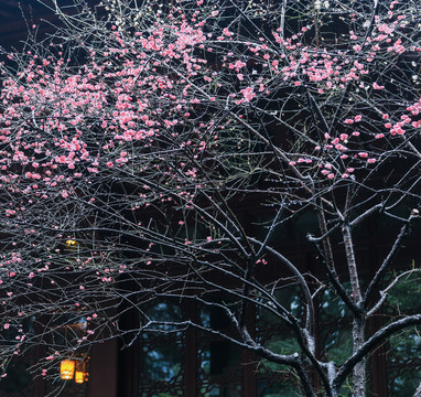 杭州灵隐寺