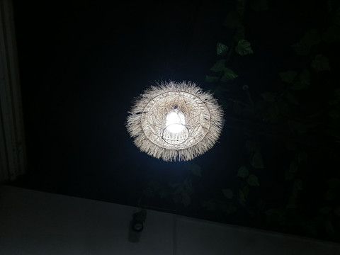 生态灯吊灯