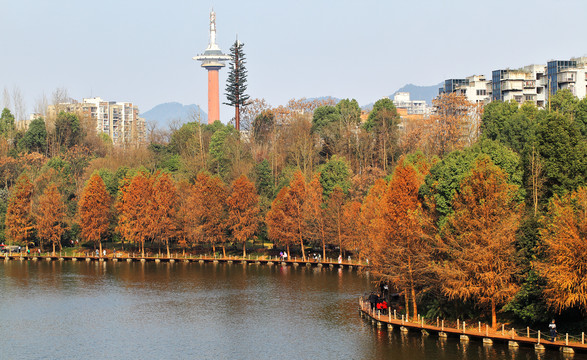 重庆壁山秀湖公园