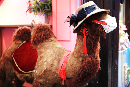 戴口罩的骆驼