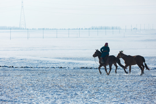 雪地雪原蒙古族骑马溜马
