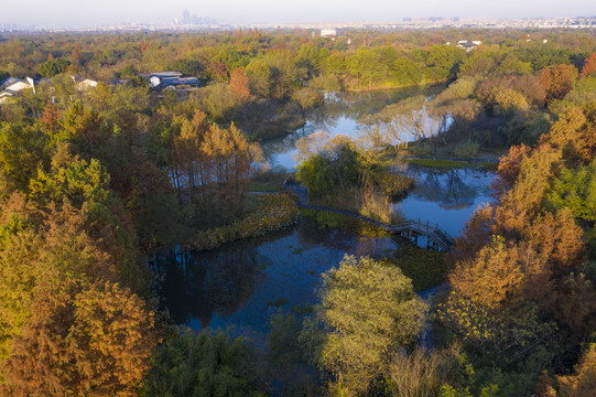 航拍杭州西溪湿地公园秋景