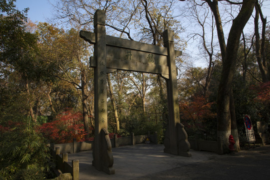 杭州老龙井景区