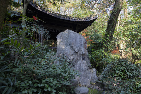 杭州西湖龙井景区