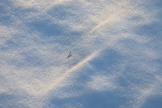 雪地