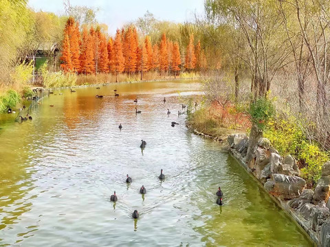 秋天的湖景公园