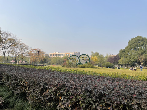 公园风景