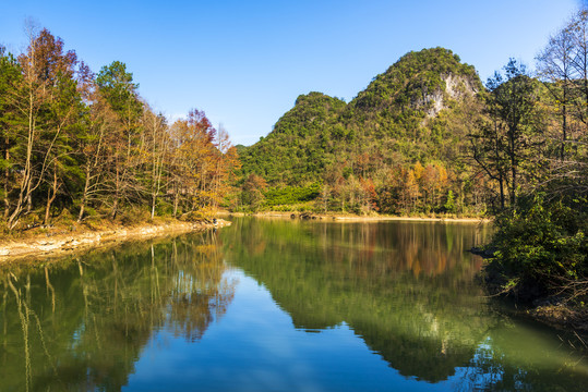 山水枫林秋色