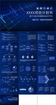 医疗平台项目计划书PPT模板