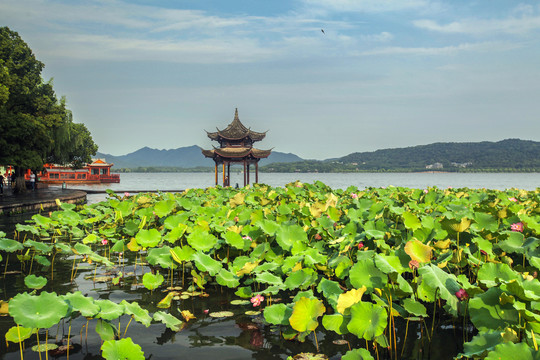 杭州西湖