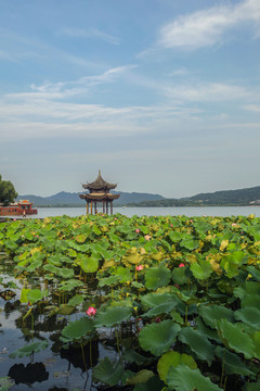 杭州集贤亭