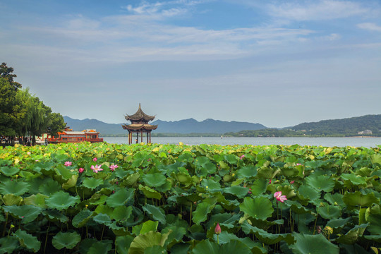 杭州西湖