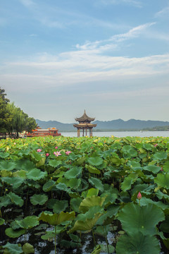 杭州西湖