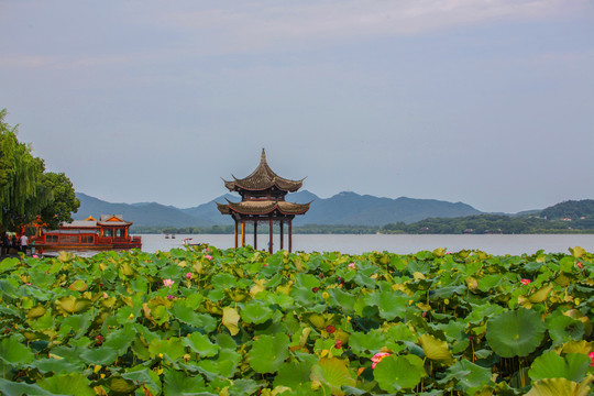 杭州集贤亭