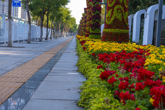 城市绿化