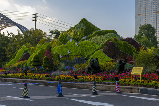 城市绿化