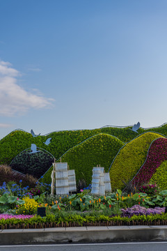 城市绿化