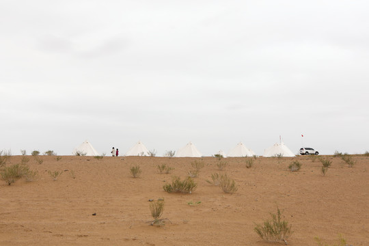 沙漠露营