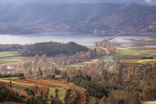 湖泊蜿蜒小路树林民居田园风光