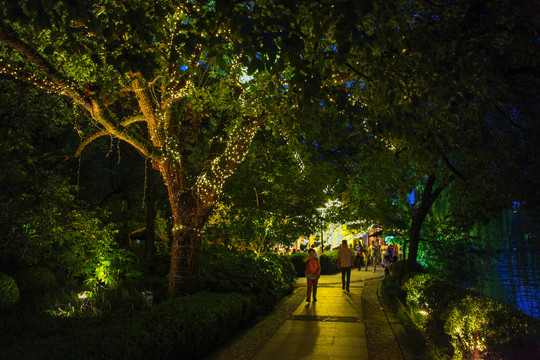 杭州西湖夜景