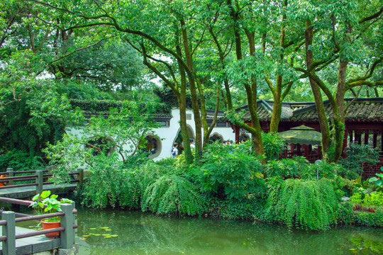 杭州西溪湿地