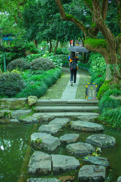 杭州西溪湿地