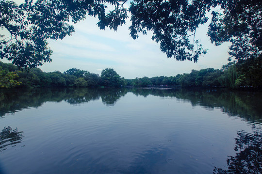 杭州西溪湿地