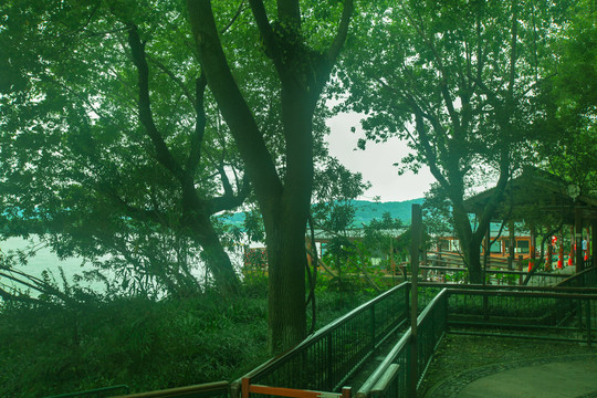 杭州西溪湿地