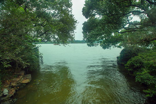 杭州西溪湿地