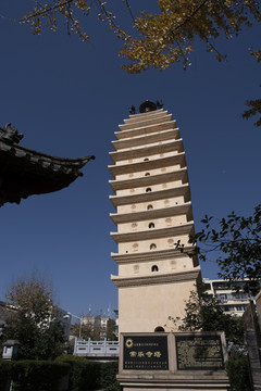 东寺塔