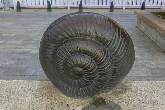 海螺造型