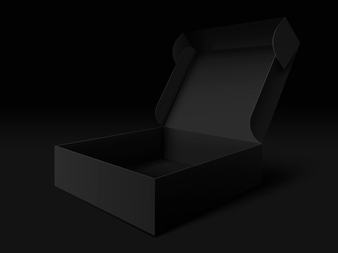 黑色盒子三维图