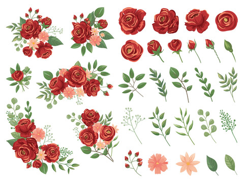 双色玫瑰花与枝叶素材